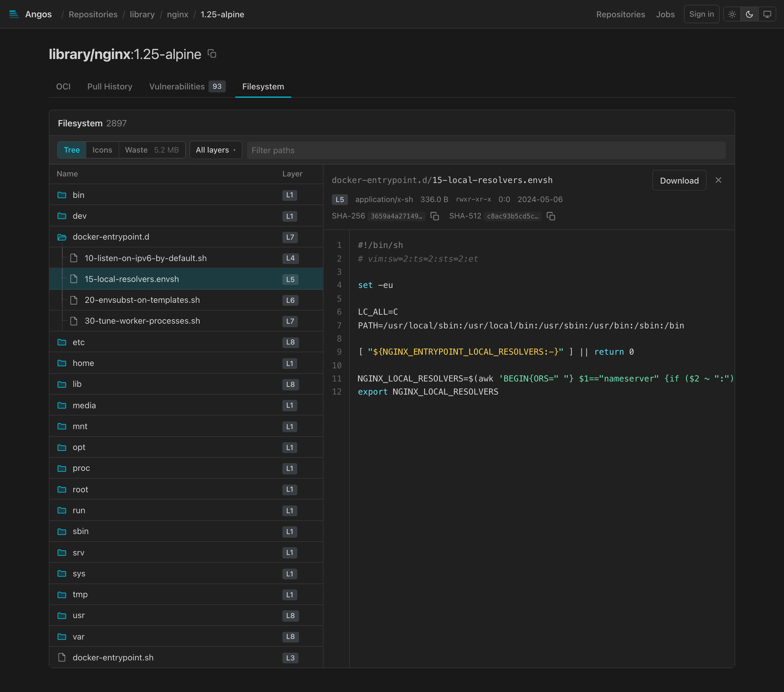 An image's merged filesystem, layer by layer, with any file open beside it.